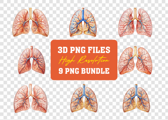 3D PNG Human Lungs Sketch Mega Bundle: A Versatile Design Resource
